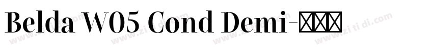 Belda W05 Cond Demi字体转换